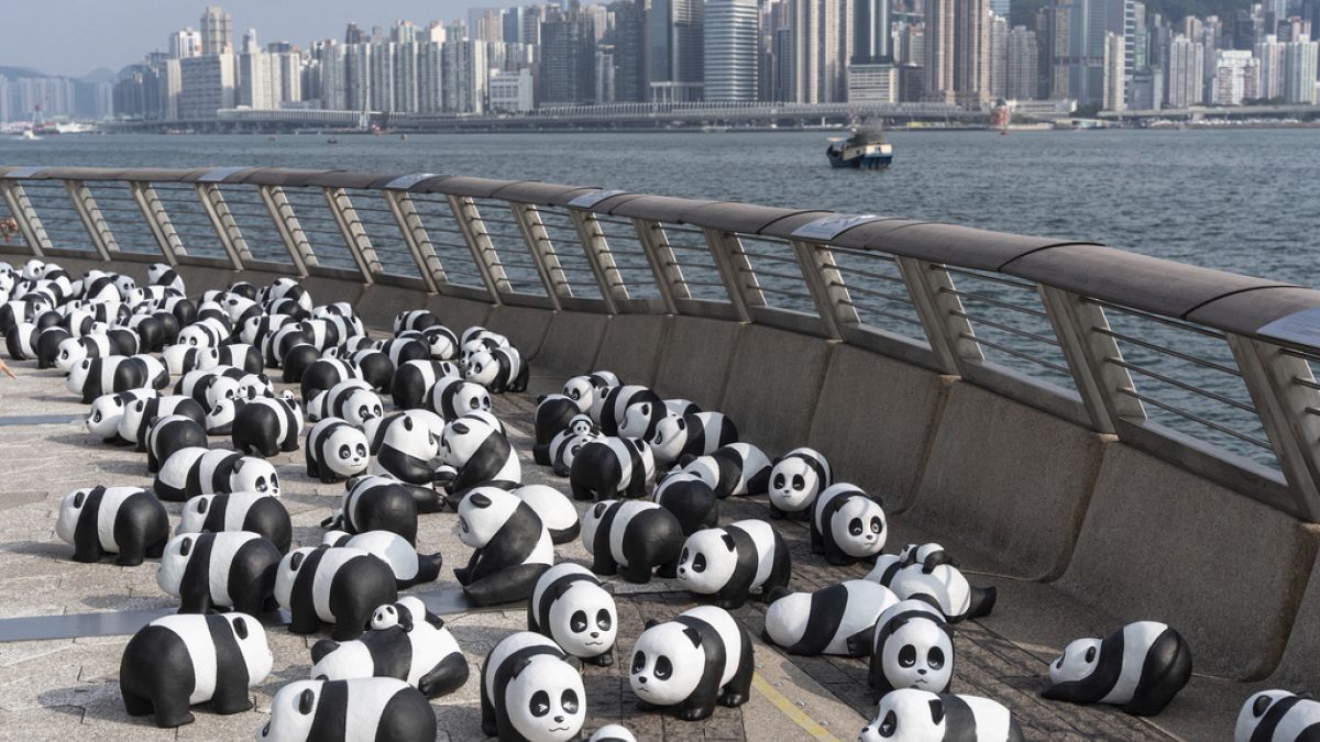 Éxito rotundo de la exposición de pandas en Hong Kong 2 500 esculturas